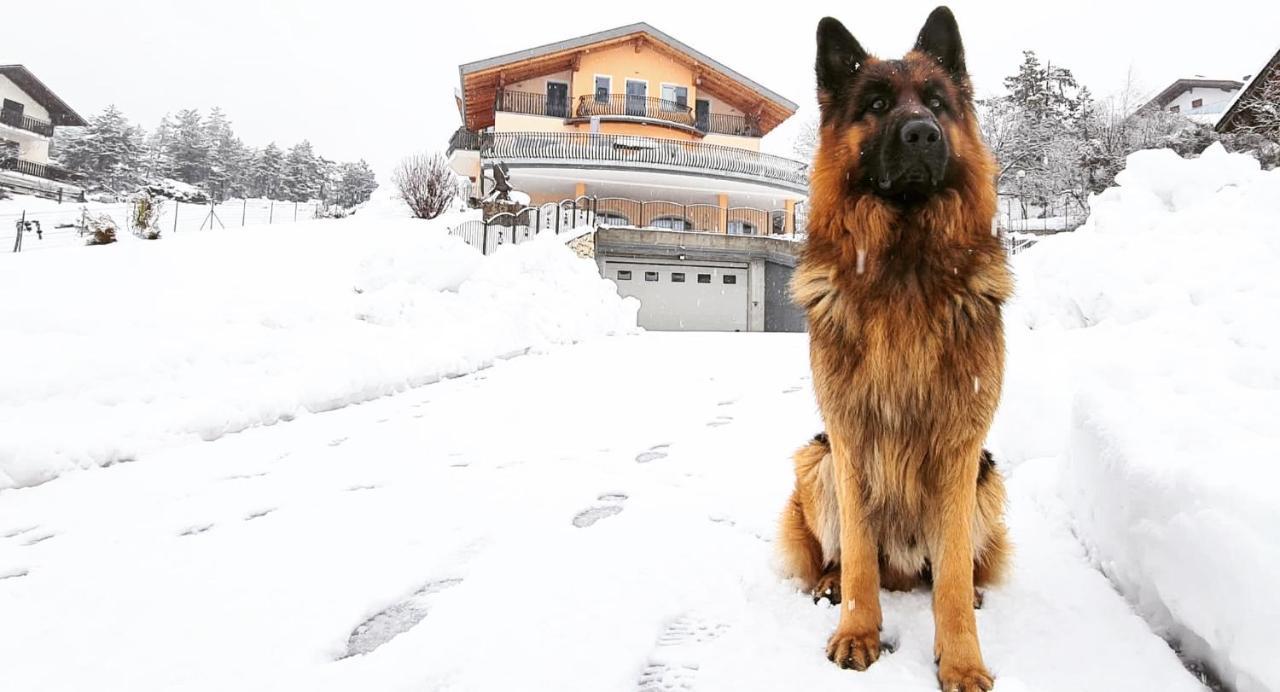 Affittacamere Dolce Sogno Coredo Esterno foto