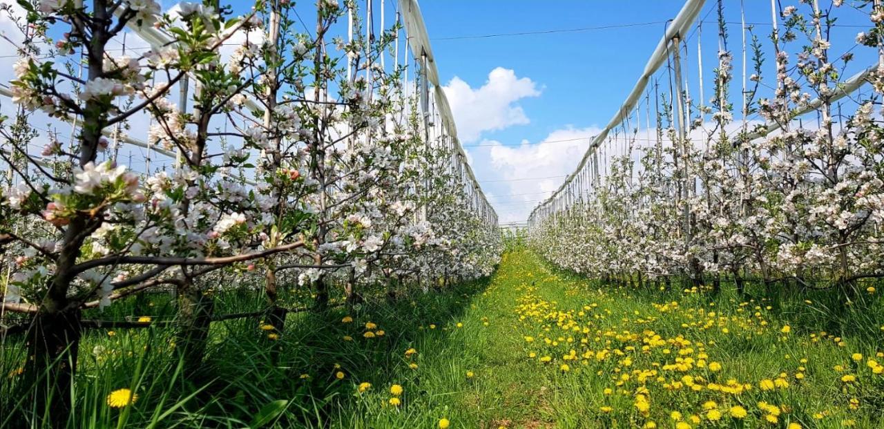 Affittacamere Dolce Sogno Coredo Esterno foto