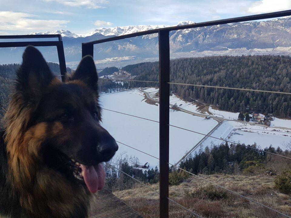 Affittacamere Dolce Sogno Coredo Esterno foto