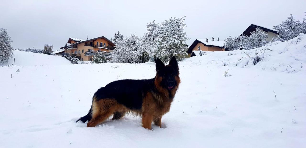 Affittacamere Dolce Sogno Coredo Esterno foto